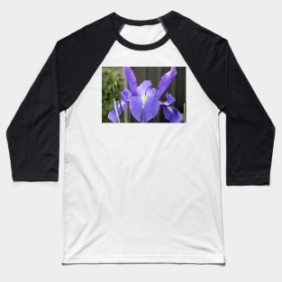 Blue Iris Baseball T-Shirt